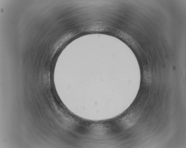 X0000070360534200606091034