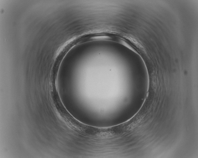 X0000070360536200606091034