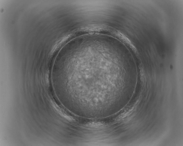 X0000070360537200606091034