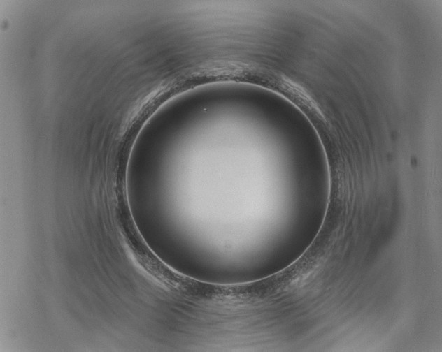 X0000070360538200606091034