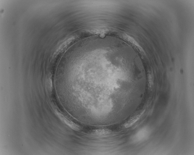 X0000070360541200606091034