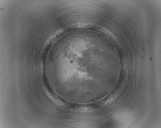 X0000070360542200606091034