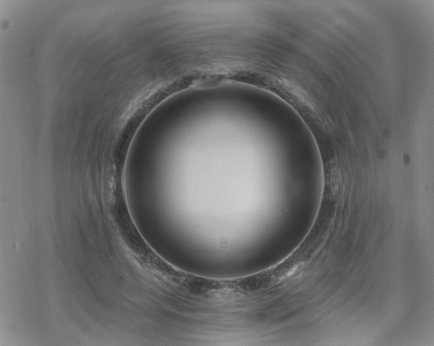 X0000070360544200606091034