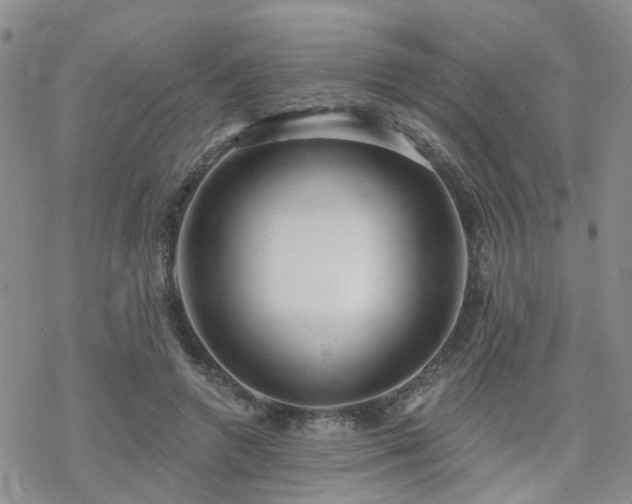 X0000070360546200606091034