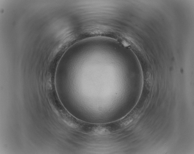 X0000070360547200606091034