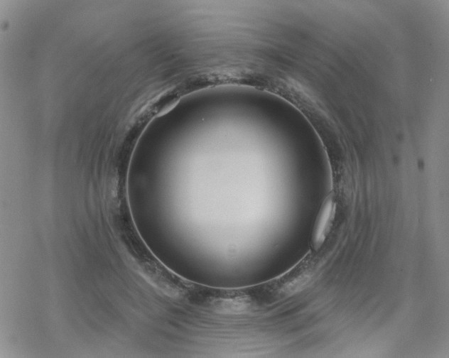 X0000070360548200606091034