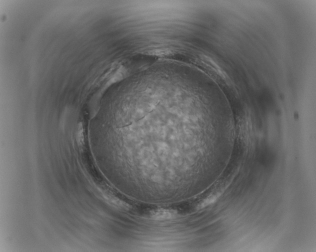 X0000070360549200606091034