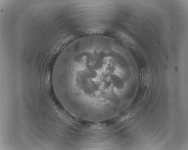 X0000070360550200606091034