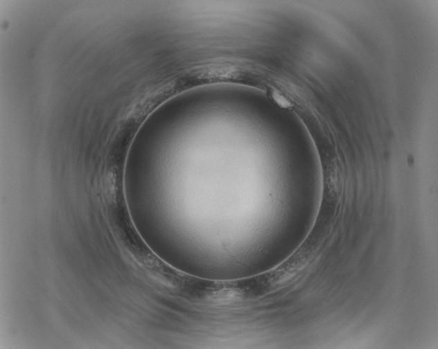 X0000070360551200606091034