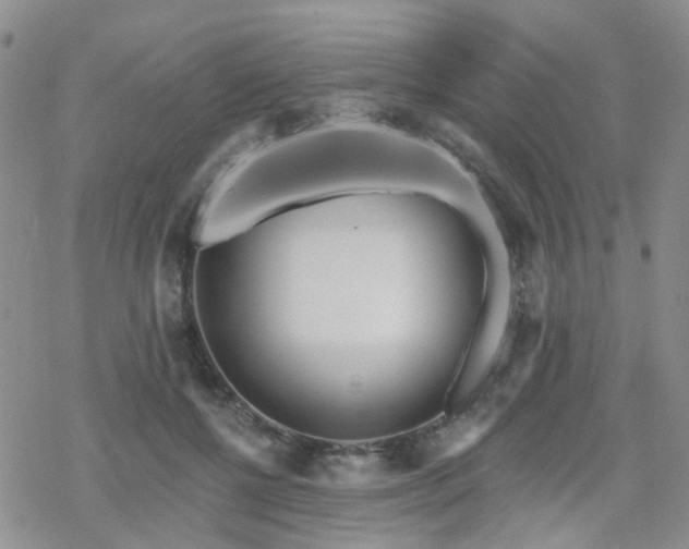 X0000070360552200606091034