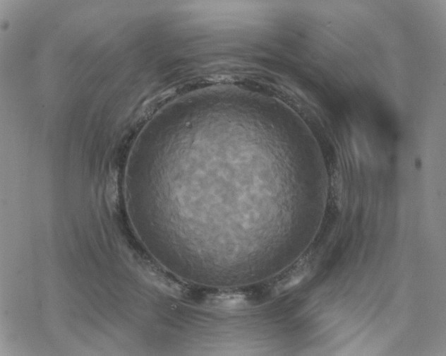 X0000070360554200606091034