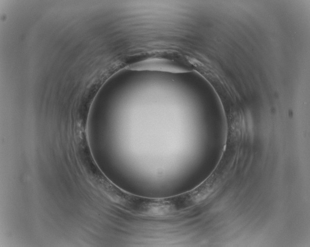 X0000070360555200606091034