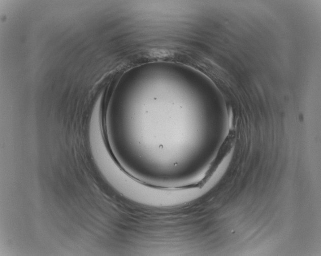 X0000070360556200606091034