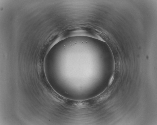 X0000070360558200606091034