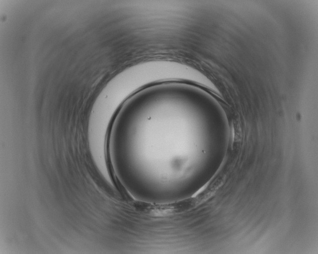 X0000070360560200606091034