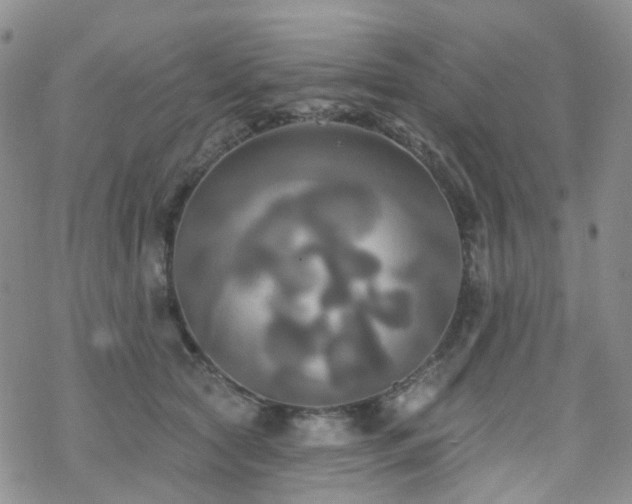 X0000070360561200606091034