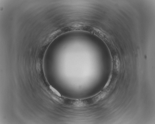 X0000070360562200606091034