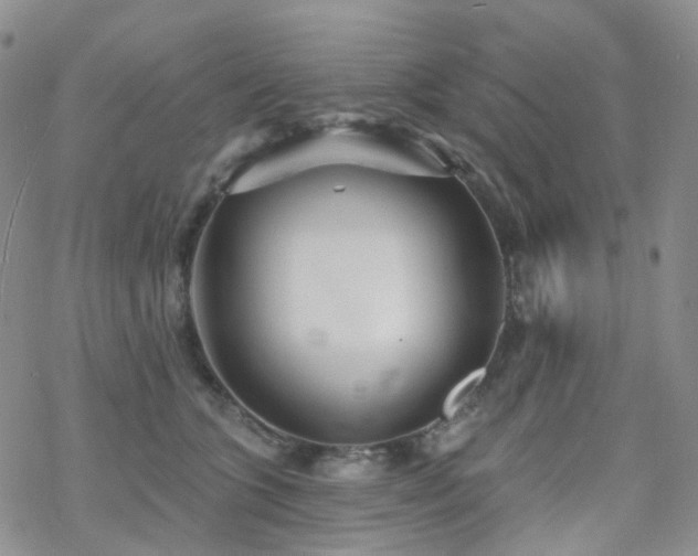 X0000070360563200606091034