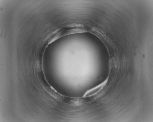 X0000070360564200606091034