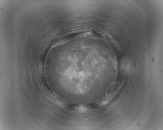 X0000070360565200606091034