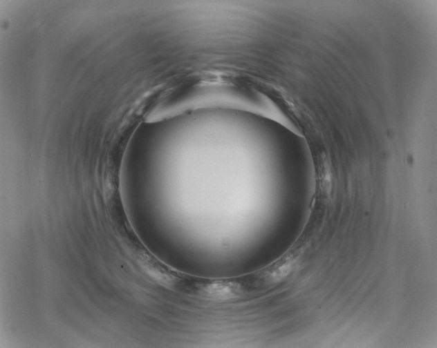 X0000070360566200606091034