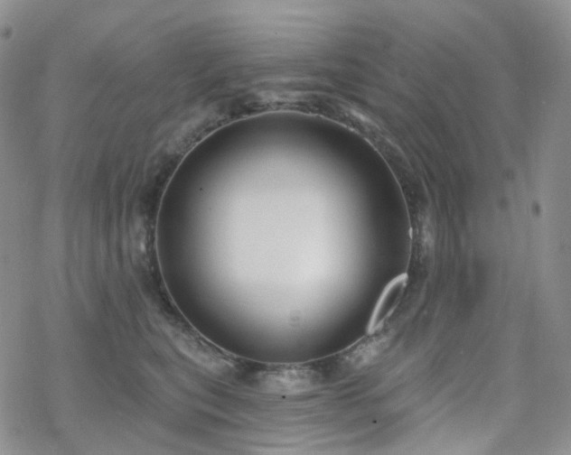 X0000070360567200606091034