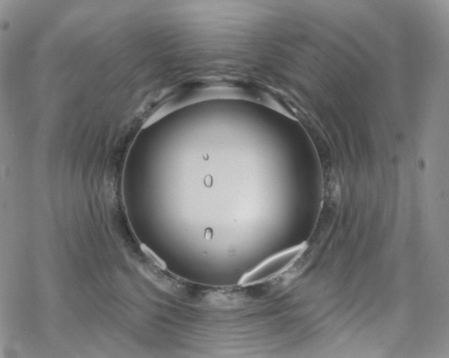 X0000070360568200606091034