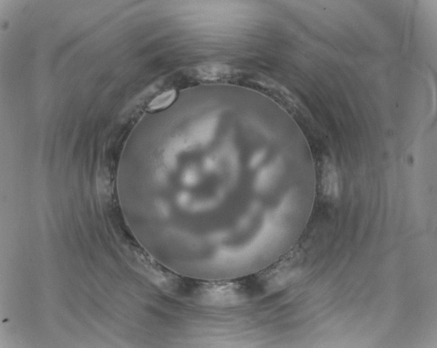 X0000070360569200606091034