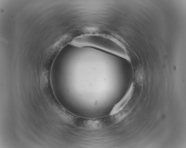 X0000070360570200606091034