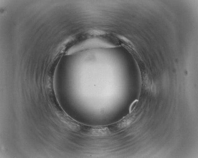 X0000070360571200606091034