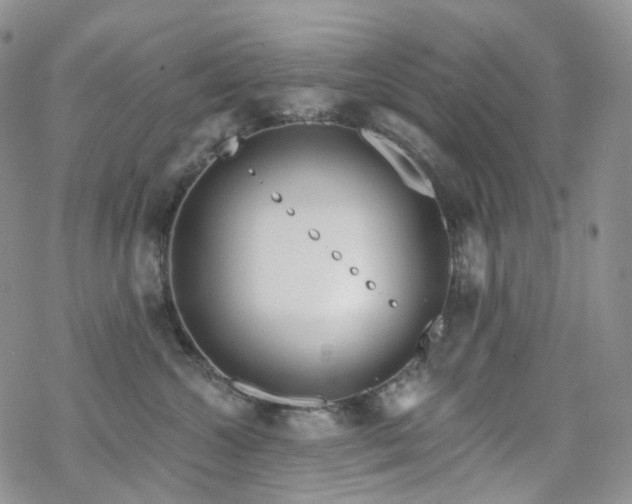 X0000070360572200606091034