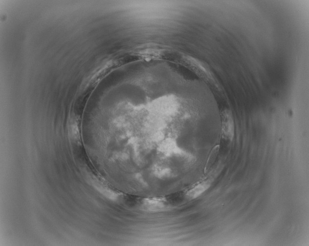 X0000070360573200606091034