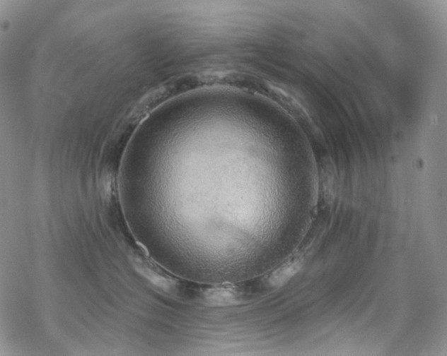 X0000070360574200606091034