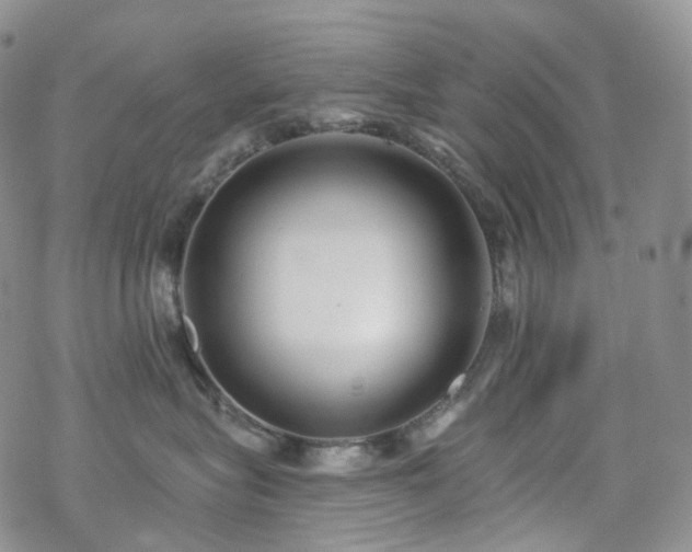 X0000070360575200606091034