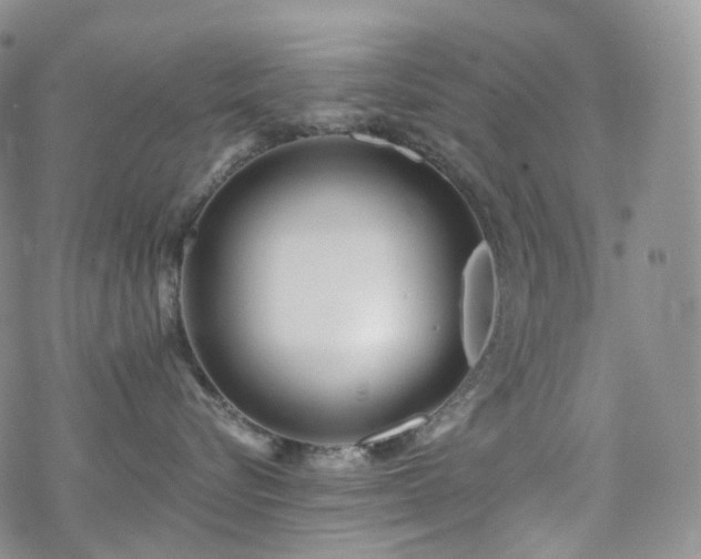 X0000070360576200606091034