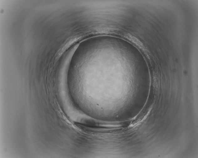 X0000070360577200606091034