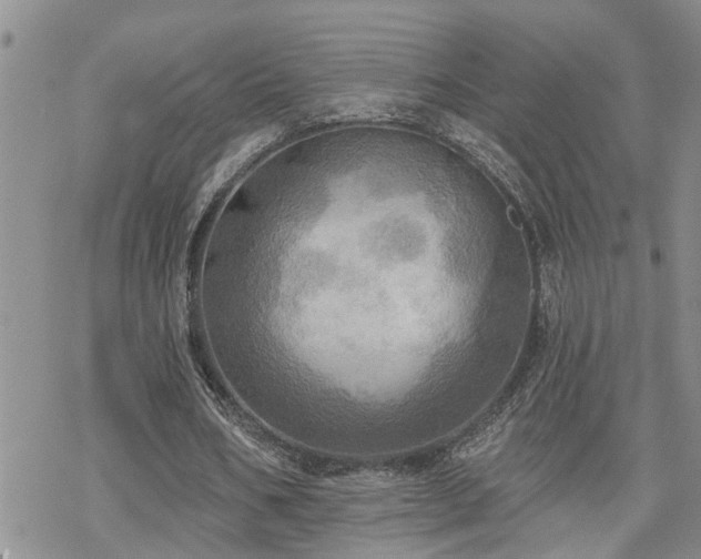 X0000070360578200606091034