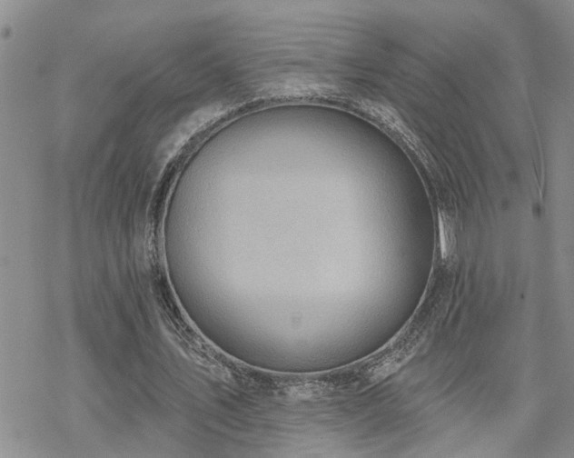 X0000070360579200606091034