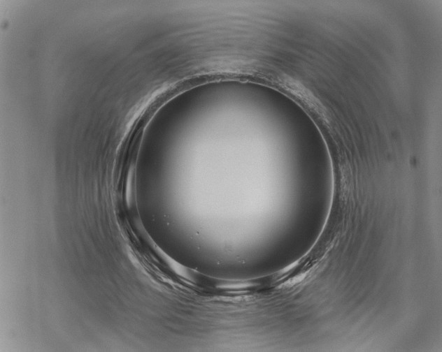 X0000070360580200606091034