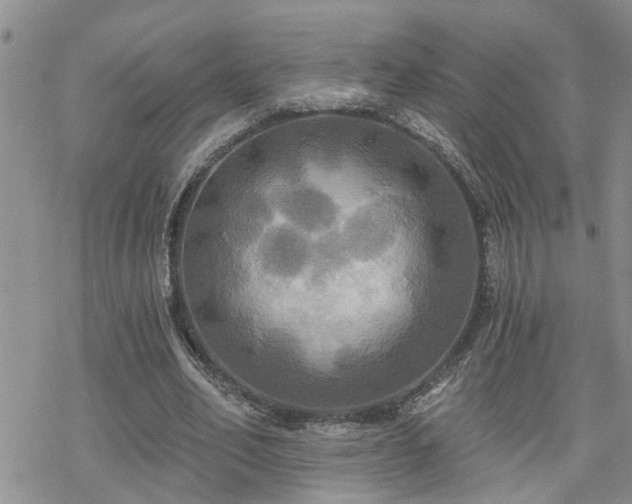 X0000070360582200606091034