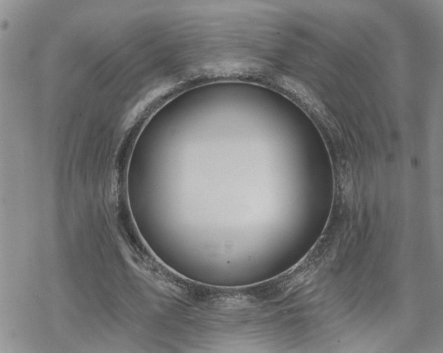 X0000070360583200606091034