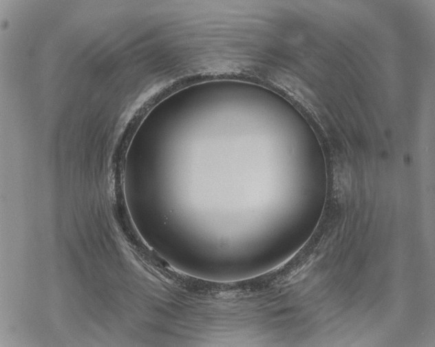 X0000070360584200606091034