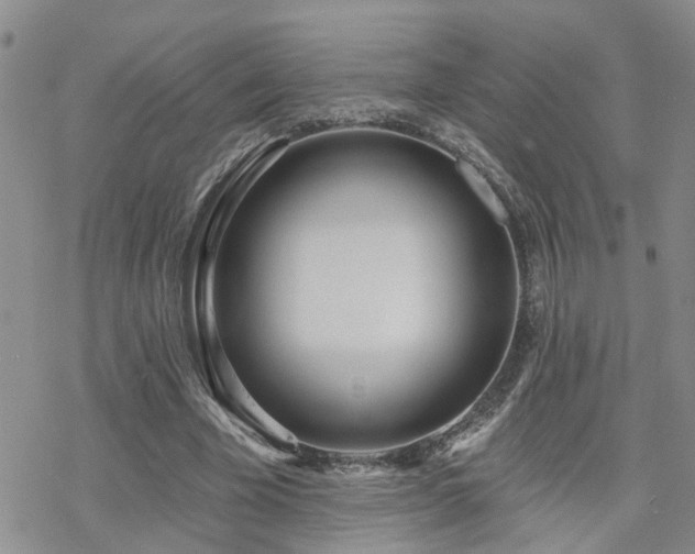 X0000070360585200606091034