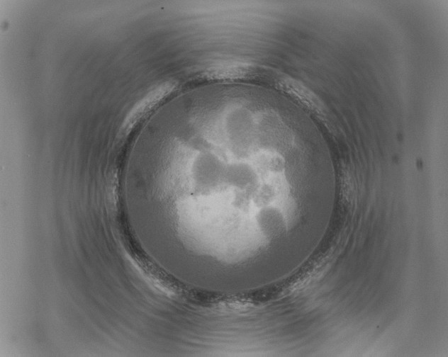 X0000070360586200606091034