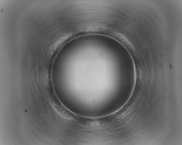 X0000070360588200606091034