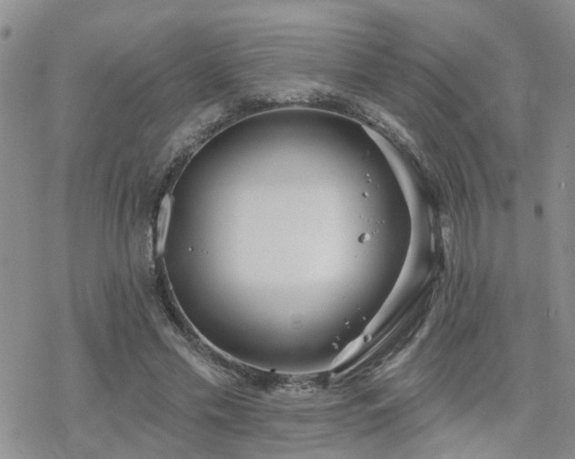 X0000070360589200606091033