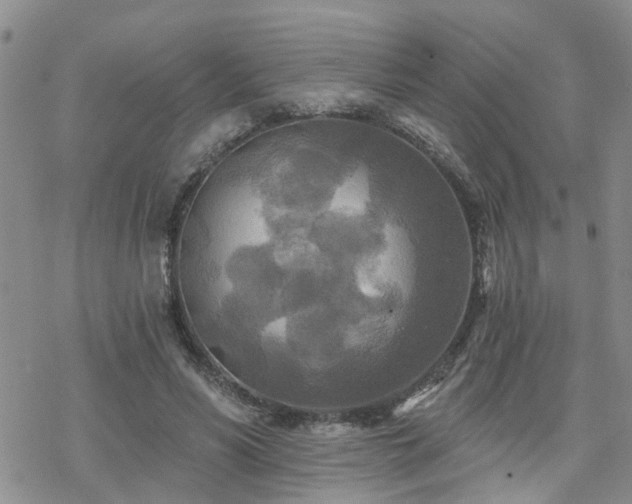 X0000070360590200606091033