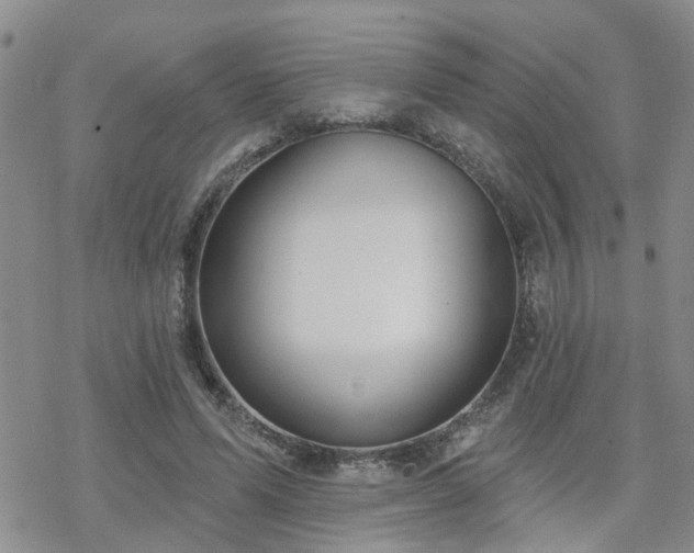 X0000070360591200606091033