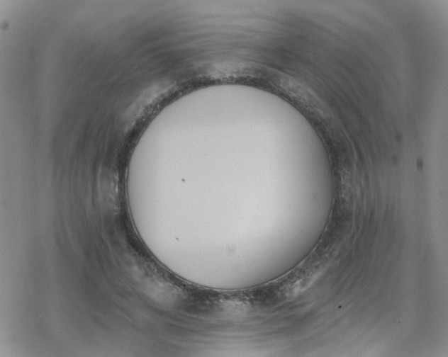 X0000070360592200606091033