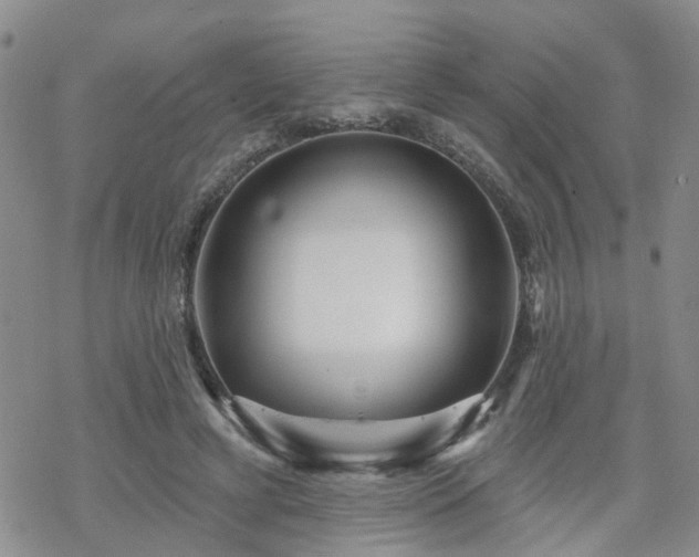 X0000070360593200606091033